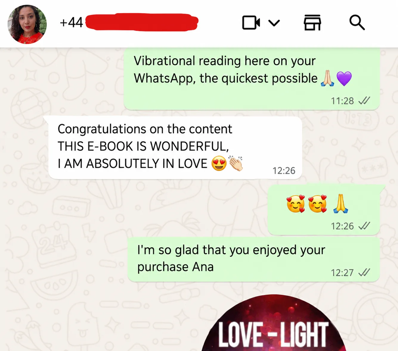 WhatsApp message: praise for the content of the e-book