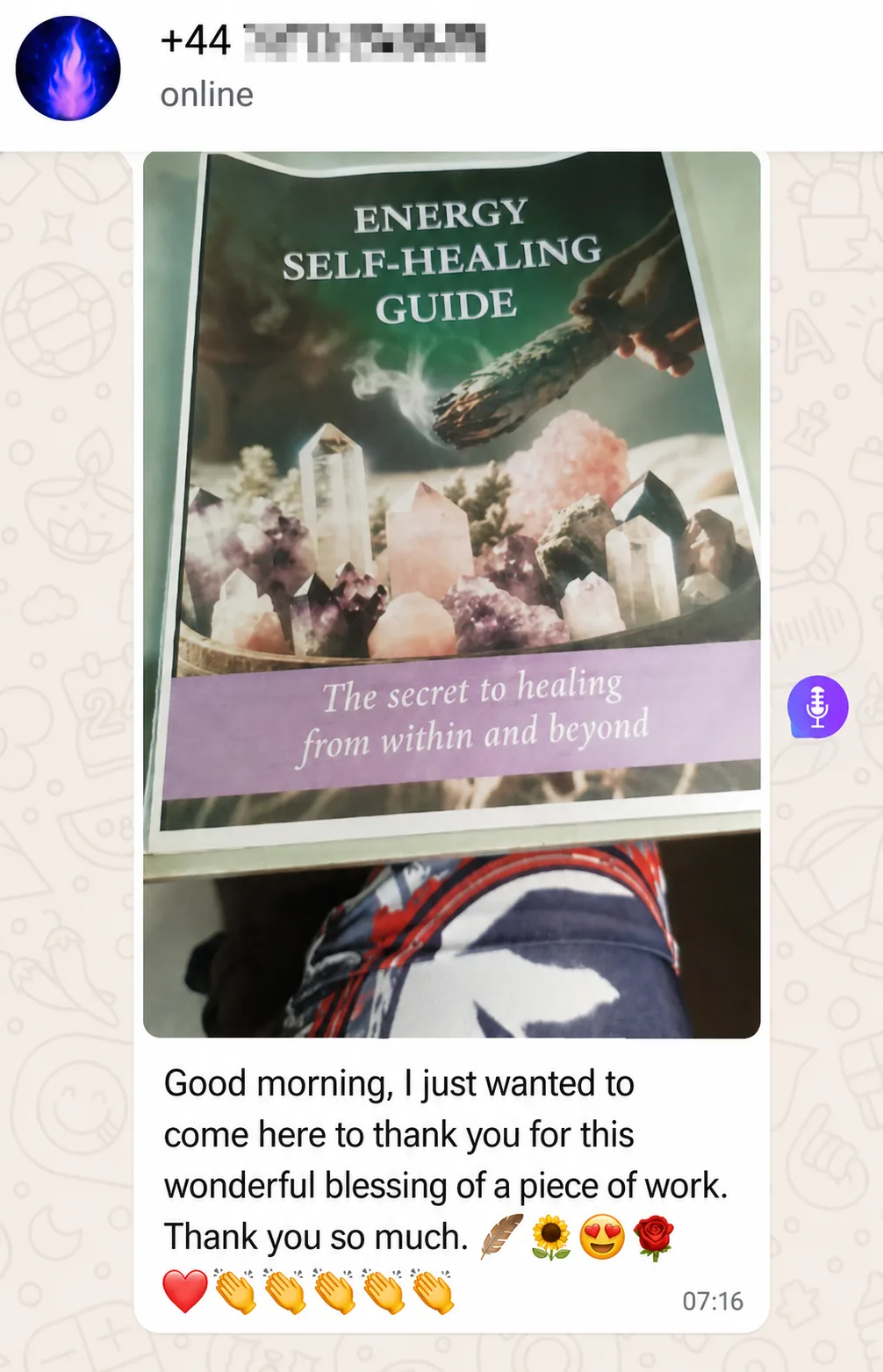 WhatsApp message: warm thanks for the material